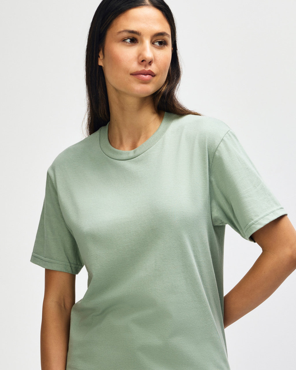 Gildan Softstyle Adult Midweight T-Shirt